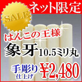 �ۉ���10.5�~���@�����s��F��