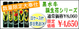 ���h��Ӂ@�a���ԃV���[�Y