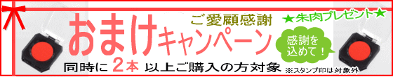 �v���[���g�L�����y�[�����@����i��