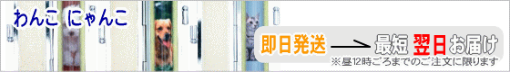 個性派印鑑 わんこにゃんこハンコ
